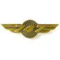 Pin de alas de Boeing 747 - Dorado